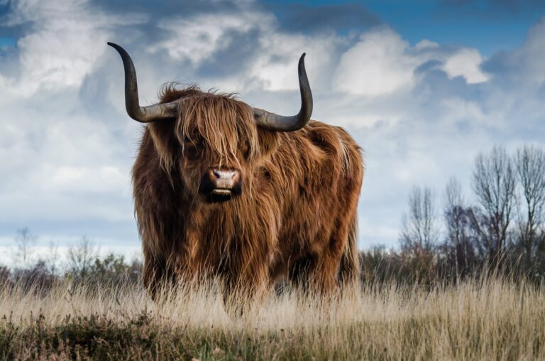 SUSE looks to beef up its cloud-native enterprise kit, pops Rancher Labs in its trolley